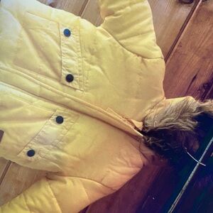 Stay warm and stylish and vibrant puffer jackets